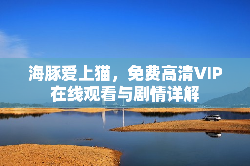 海豚爱上猫，免费高清VIP在线观看与剧情详解