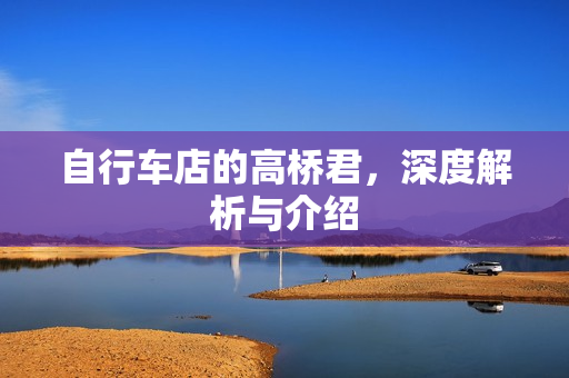 自行车店的高桥君，深度解析与介绍