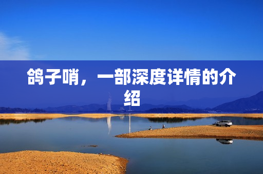 鸽子哨，一部深度详情的介绍