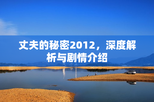 丈夫的秘密2012，深度解析与剧情介绍
