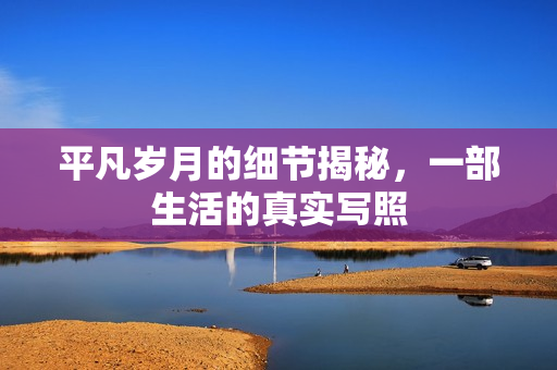 平凡岁月的细节揭秘，一部生活的真实写照