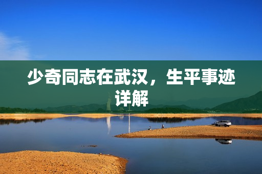 少奇同志在武汉，生平事迹详解