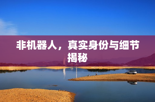 非机器人，真实身份与细节揭秘