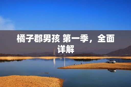 橘子郡男孩 第一季，全面详解