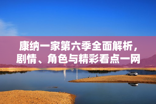 康纳一家第六季全面解析，剧情、角色与精彩看点一网打尽