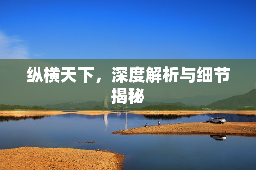 纵横天下，深度解析与细节揭秘