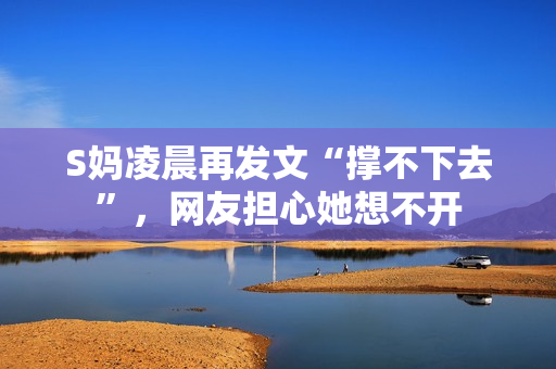 S妈凌晨再发文“撑不下去”,网友担心她想不开 S妈凌晨再发文“撑不下去”,网友担心她想不开