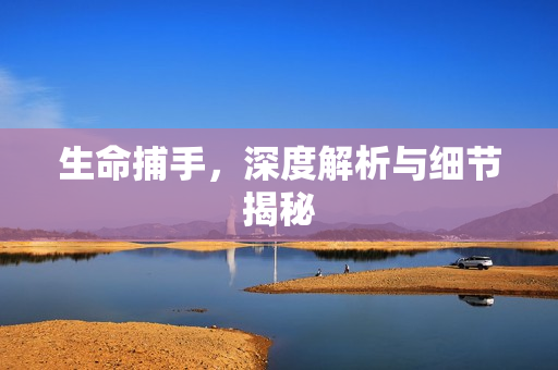 生命捕手，深度解析与细节揭秘