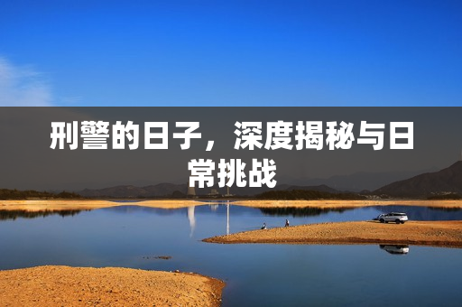 刑警的日子，深度揭秘与日常挑战