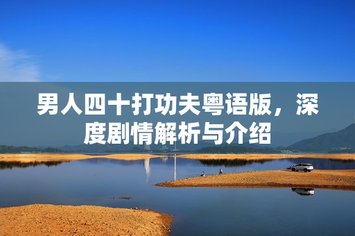 男人四十打功夫粤语版，深度剧情解析与介绍