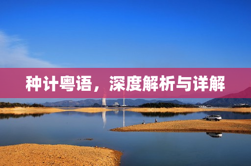 种计粤语，深度解析与详解