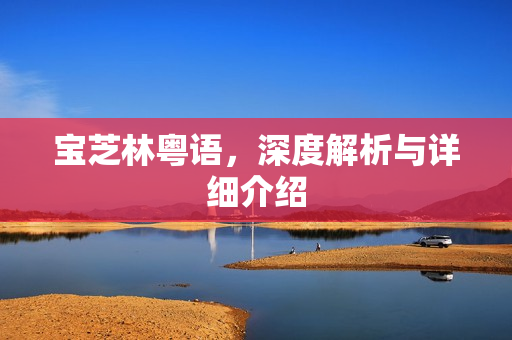 宝芝林粤语，深度解析与详细介绍