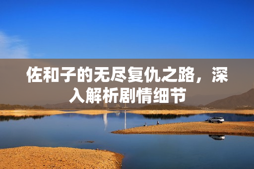 佐和子的无尽复仇之路，深入解析剧情细节