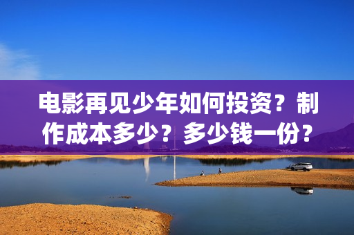 电影再见少年如何投资？制作成本多少？多少钱一份？(电影再见少年如何拍摄)