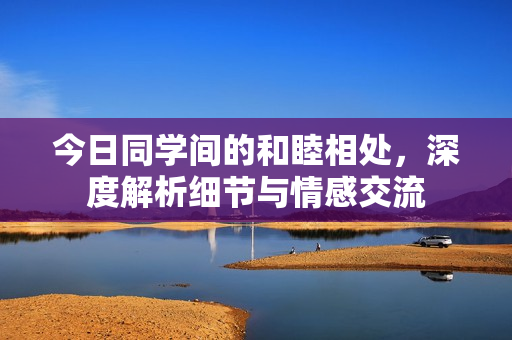 今日同学间的和睦相处，深度解析细节与情感交流