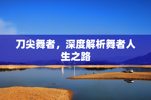 刀尖舞者,深度解析舞者人生之路 刀尖舞者,深度解析舞者人生之路