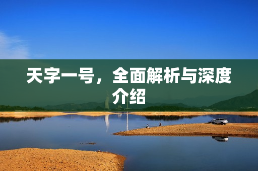 天字一号，全面解析与深度介绍