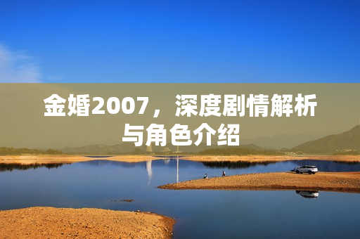 金婚2007，深度剧情解析与角色介绍