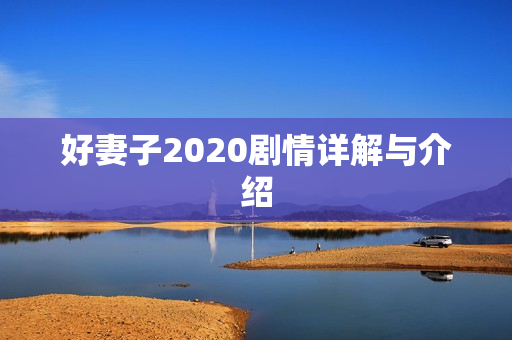 好妻子2020剧情详解与介绍 好妻子2020剧情详解与介绍