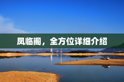 凤临阁，全方位详细介绍