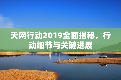 天网行动2019全面揭秘，行动细节与关键进展