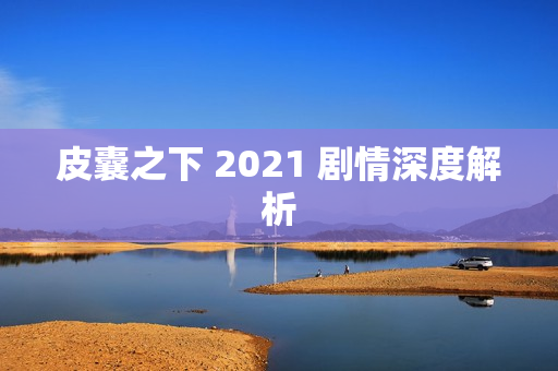 皮囊之下 2021 剧情深度解析