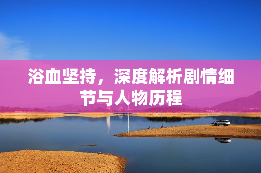 浴血坚持，深度解析剧情细节与人物历程