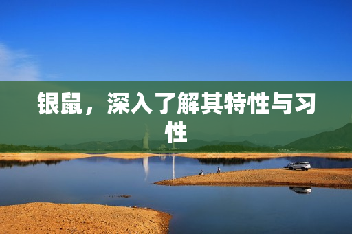 银鼠，深入了解其特性与习性