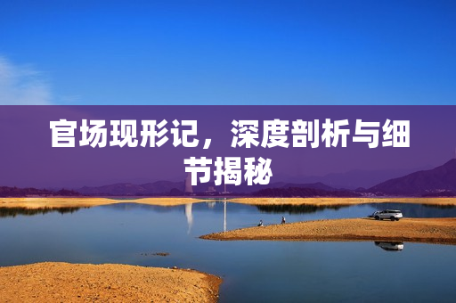 官场现形记，深度剖析与细节揭秘