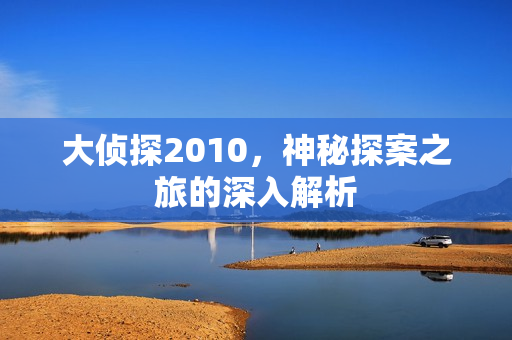 大侦探2010，神秘探案之旅的深入解析