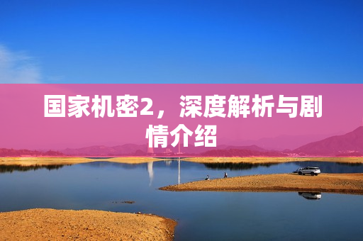 国家机密2，深度解析与剧情介绍