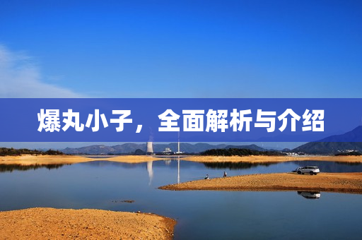 爆丸小子，全面解析与介绍