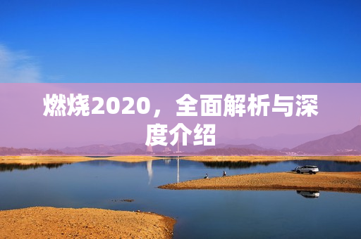 燃烧2020,全面解析与深度介绍 燃烧2020,全面解析与深度介绍