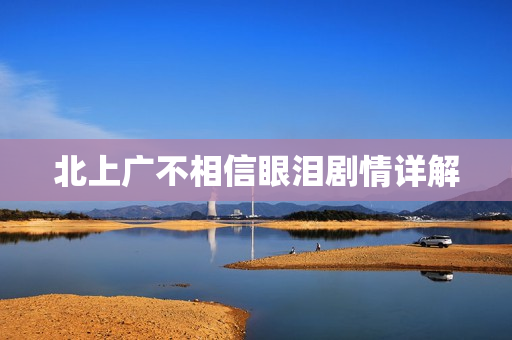 北上广不相信眼泪剧情详解