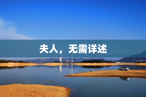 夫人，无需详述