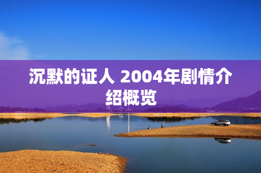 沉默的证人 2004年剧情介绍概览