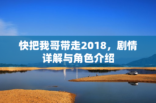 快把我哥带走2018，剧情详解与角色介绍