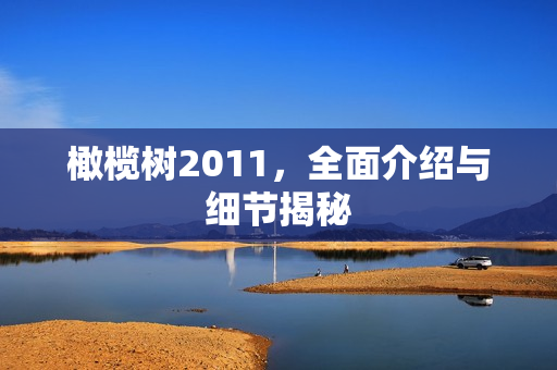 橄榄树2011，全面介绍与细节揭秘