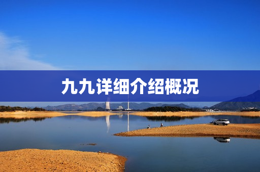 九九详细介绍概况