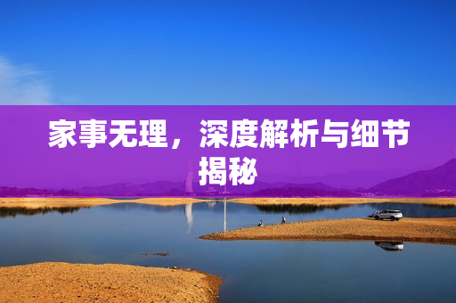 家事无理，深度解析与细节揭秘