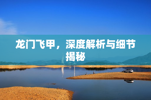 龙门飞甲，深度解析与细节揭秘