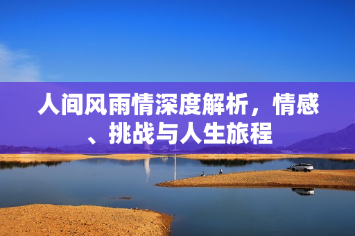 人间风雨情深度解析，情感、挑战与人生旅程