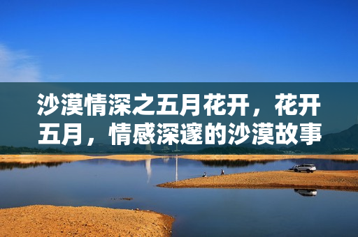 沙漠情深之五月花开，花开五月，情感深邃的沙漠故事