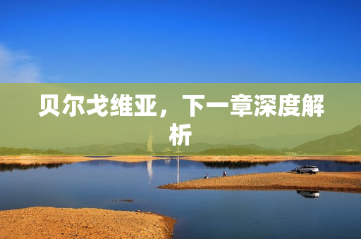 贝尔戈维亚，下一章深度解析