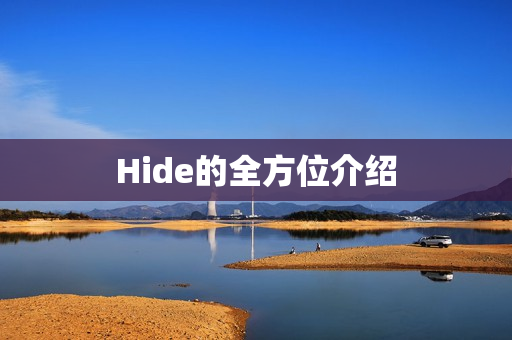 Hide的全方位介绍