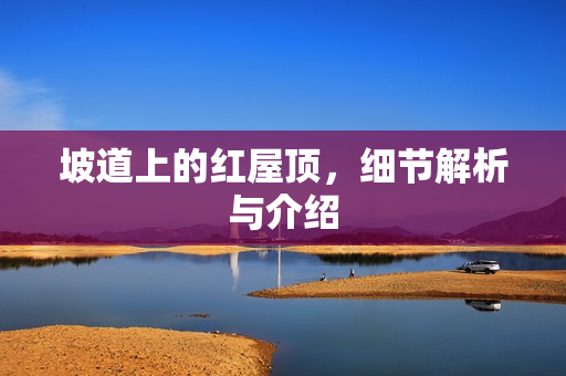 坡道上的红屋顶，细节解析与介绍