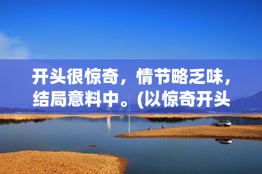 开头很惊奇，情节略乏味，结局意料中。(以惊奇开头的四字成语有哪些?)