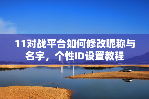 11对战平台如何修改昵称与名字，个性ID设置教程