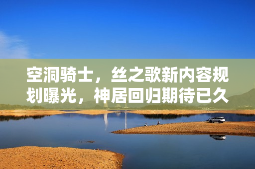 空洞骑士，丝之歌新内容规划曝光，神居回归期待已久！