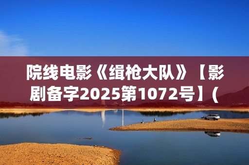 院线电影《缉枪大队》【影剧备字2025第1072号】(缉枪电影演员表)